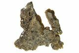 Polished Diogenite Meteorite ( g) Slice - NWA #375703-1